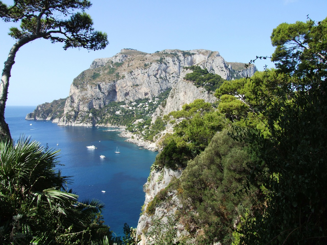 Jūra, Kranto, Pakrantė, Medžiai, Vandenynas, Amalfi Pakrantė, Il Faglioli, Capri, Pietų Italija, Italy