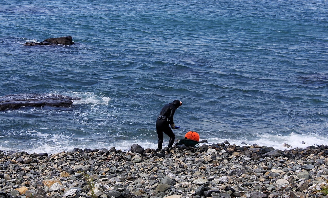 Jūra, Saulės Tarnaitė, Korėja, Jeju, Jeju Sala, Gamta, Jeju Salos Paplūdimys, Korėjos Respublika, Papludimys, Kelionė