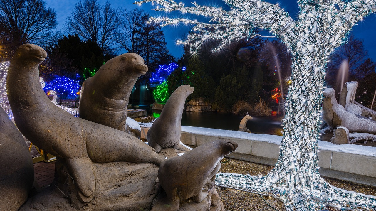 Jūrų Liūto Statulos, Kalėdų Žiburiai, Zoologijos Sodas, Šventinis, Sezoniniai Atostogos, Spalvinga, Papuoštas, Medis, Laukinė Gamta, Gamta