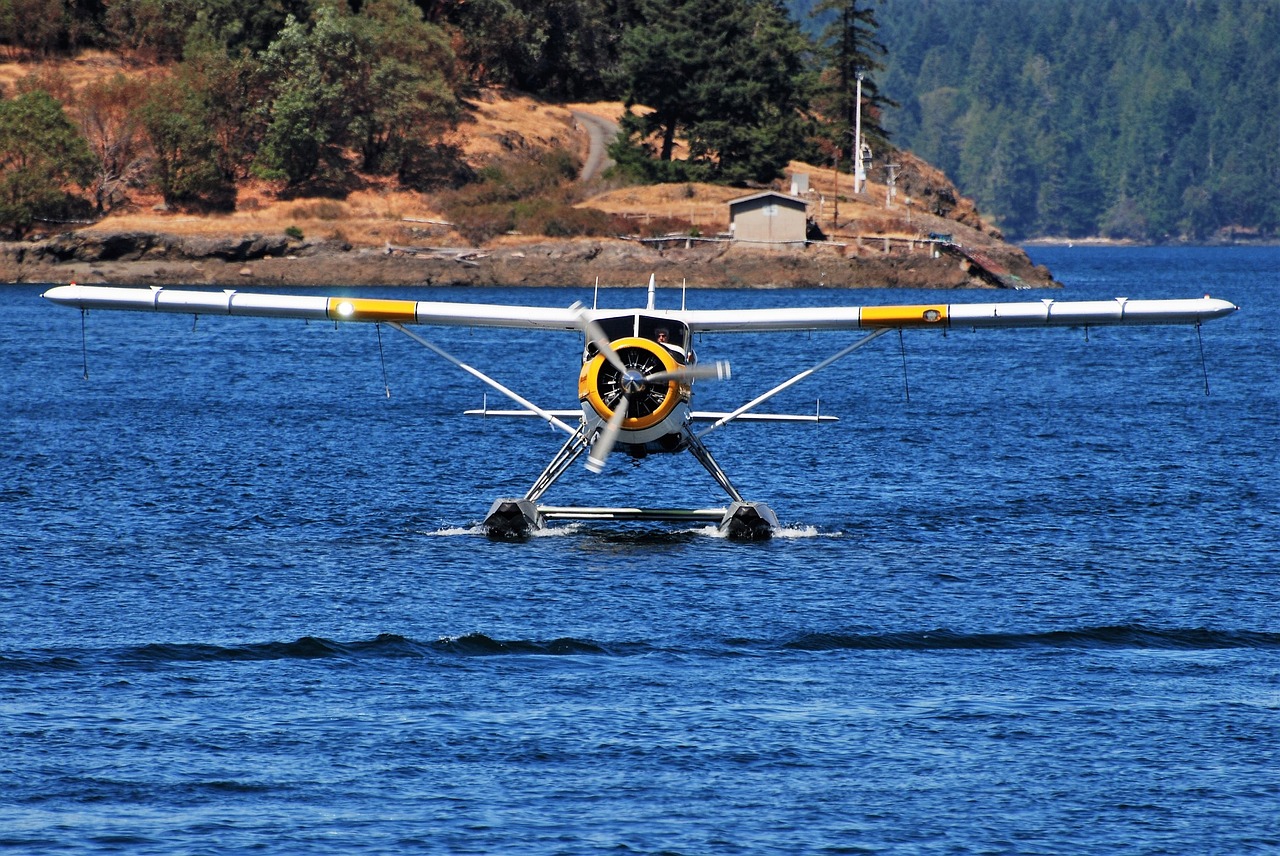 Seaplane,  Kanada,  Sala,  Ramiojo Vandenyno,  Pilotas,  Pobūdį,  Britų Kolumbija,  Mėlyna,  Orlaivių,  Vandens