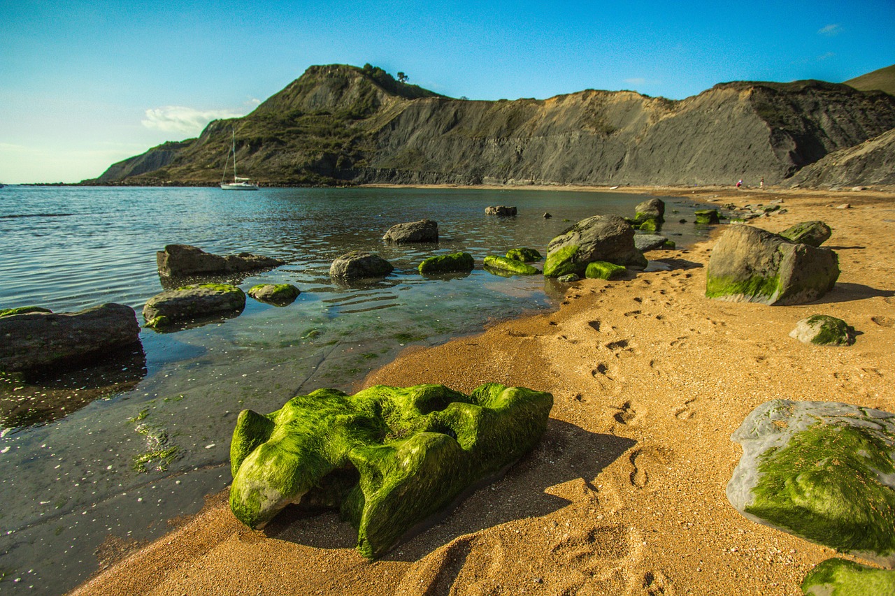 Jūros Dugnas, Akmenys, Dorset, Akmenys, Nemokamos Nuotraukos,  Nemokama Licenzija