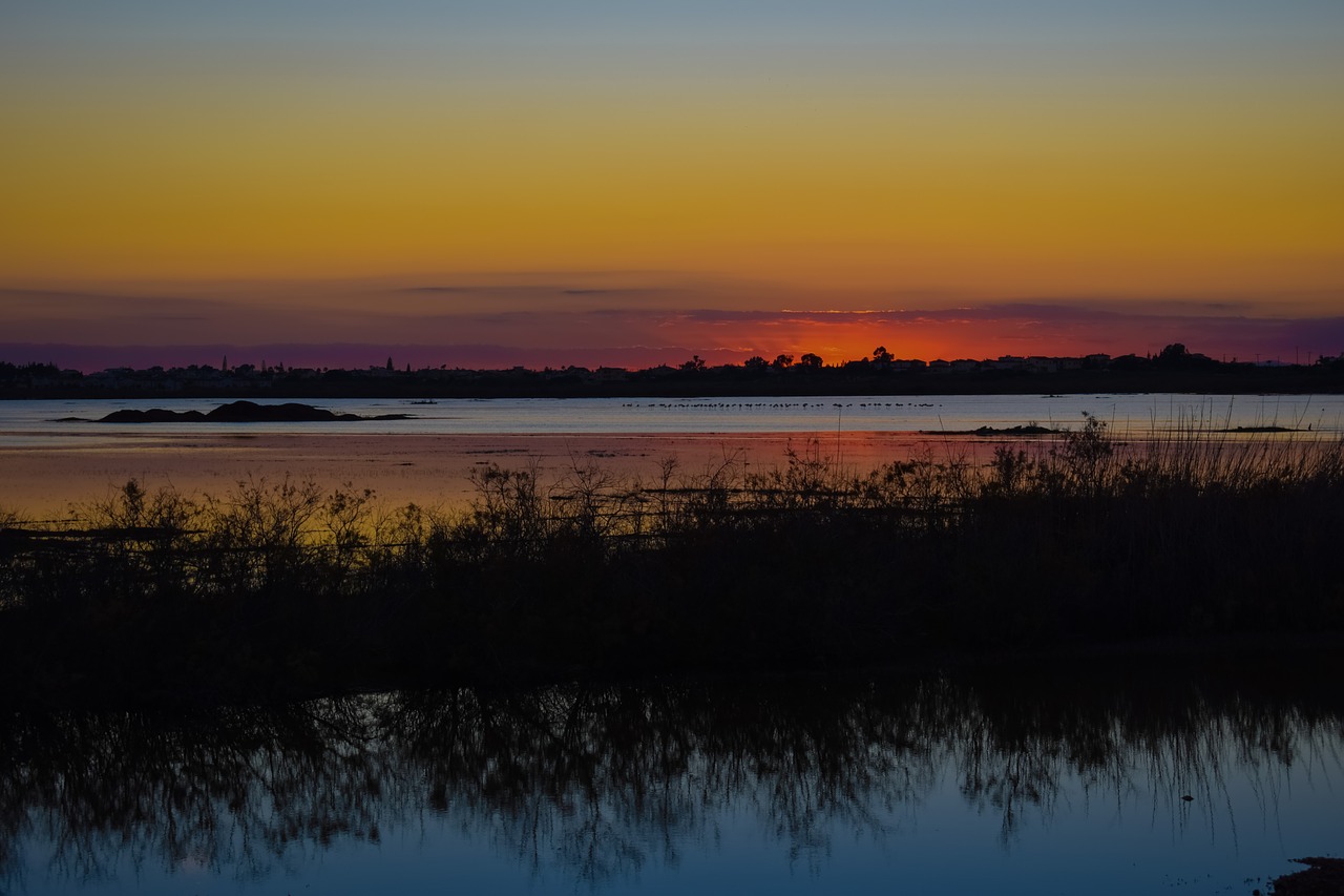 Sezoninis Ežeras, Pelkė, Saulėlydis, Migruojantys Paukščiai, Twilight, Saulėlydžio Spalvos, Kipras, Paralimni Ežeras, Atspindys, Pelkė