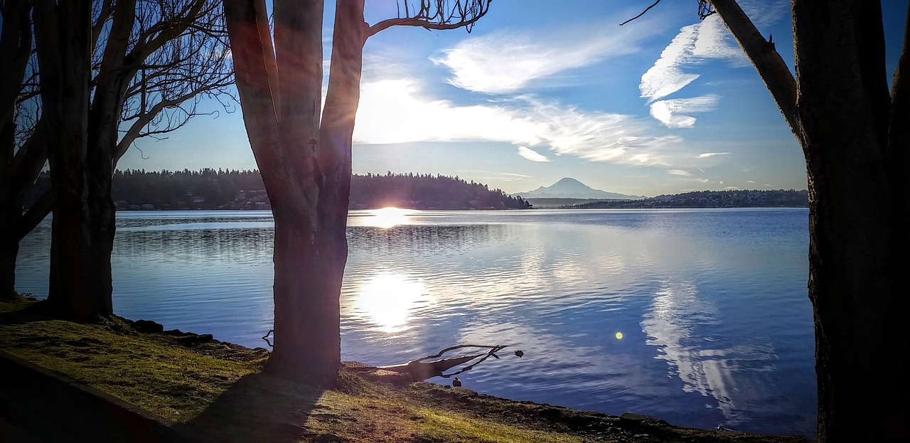 Seattle, Ežeras, Vašingtonas, Kalnas, Rainier, Žiema, Rytas, Parkas, Seward, Nemokamos Nuotraukos