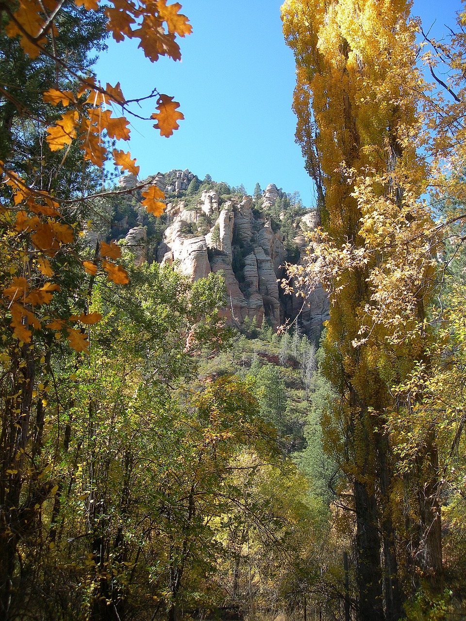 Sedona, Az, Kraštovaizdis, Raudona, Rokas, Dangus, Vaizdingas, Medis, Lauke, Kalnas