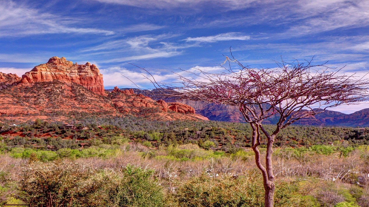 Sedona, Arizona, Raudonos Uolos, Medis, Nemokamos Nuotraukos,  Nemokama Licenzija