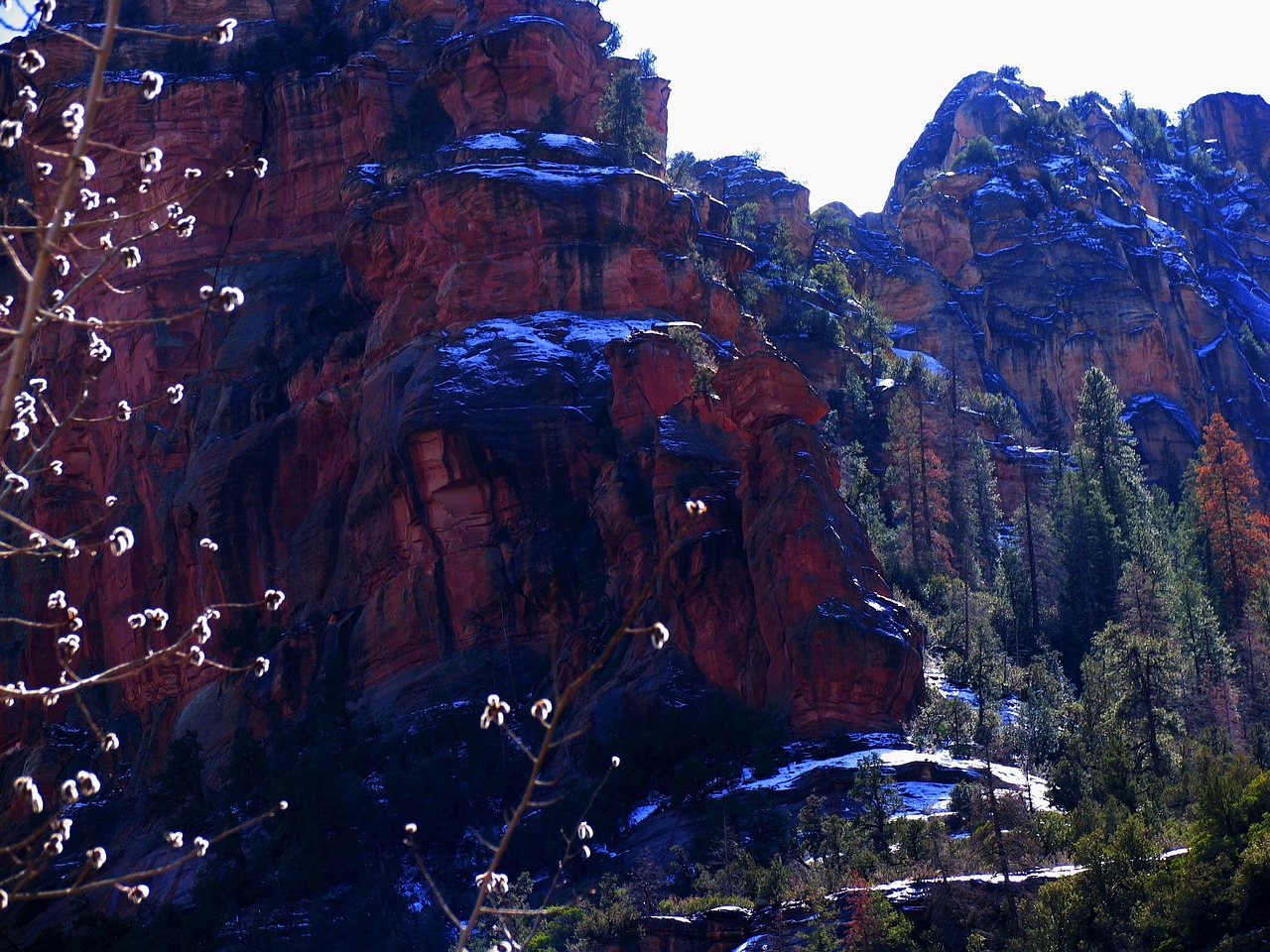 Sedona, Arizona, Kalnai, Dangus, Slėnis, Uraganas, Gorge, Miškas, Medžiai, Ruduo