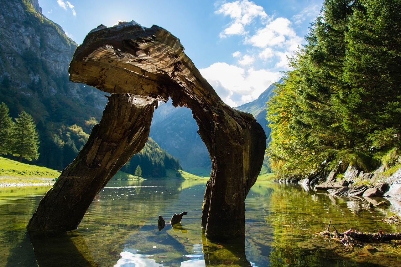 Seealpsee, Vanduo, Gamta, Šveicarija, Kalnai, Nemokamos Nuotraukos,  Nemokama Licenzija