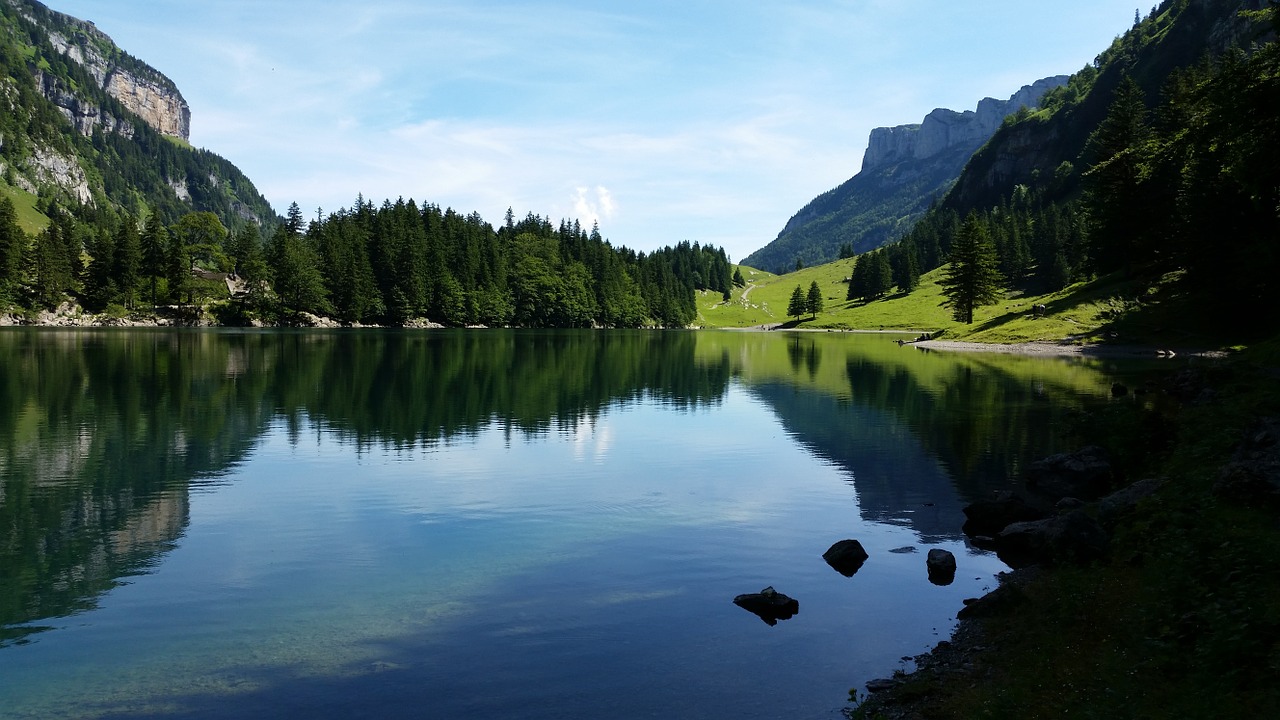 Seealpsee, Šveicarija, Swiss Alps, Vanduo, Veidrodis, Appenzell, Gamta, Miškai, Medžiai, Žalias