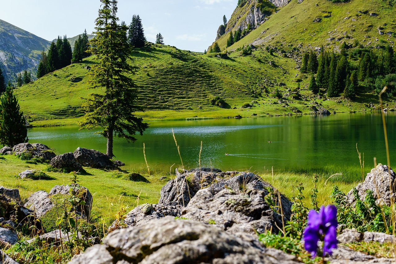 Asbergas, Ežeras, Kalnų Slėnis, Kalnai, Šveicarija, Diemtigtal, Wildflower, Kalnas, Gamta, Žygiai