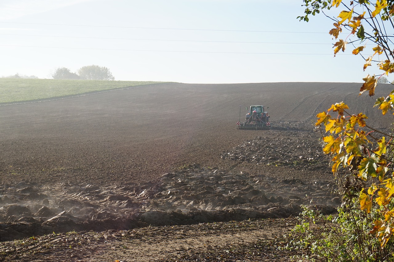 Sėkla, Ariamasis, Žemdirbystė, Technologija, Dirvožemis, Laukas, Landtechnik, Akėčios, Ūkininkas, Žemės Ūkio