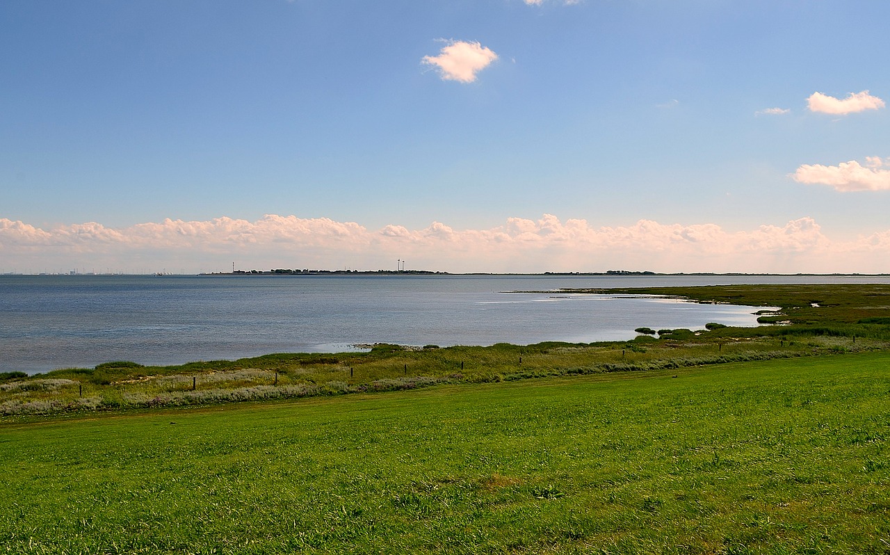 Seedeich, Vaizdas Į Uostą Borkum, Šiaurės Jūra, Gamtos Rezervatas, Kranto, Gamta, Kraštovaizdis, Nemokamos Nuotraukos,  Nemokama Licenzija