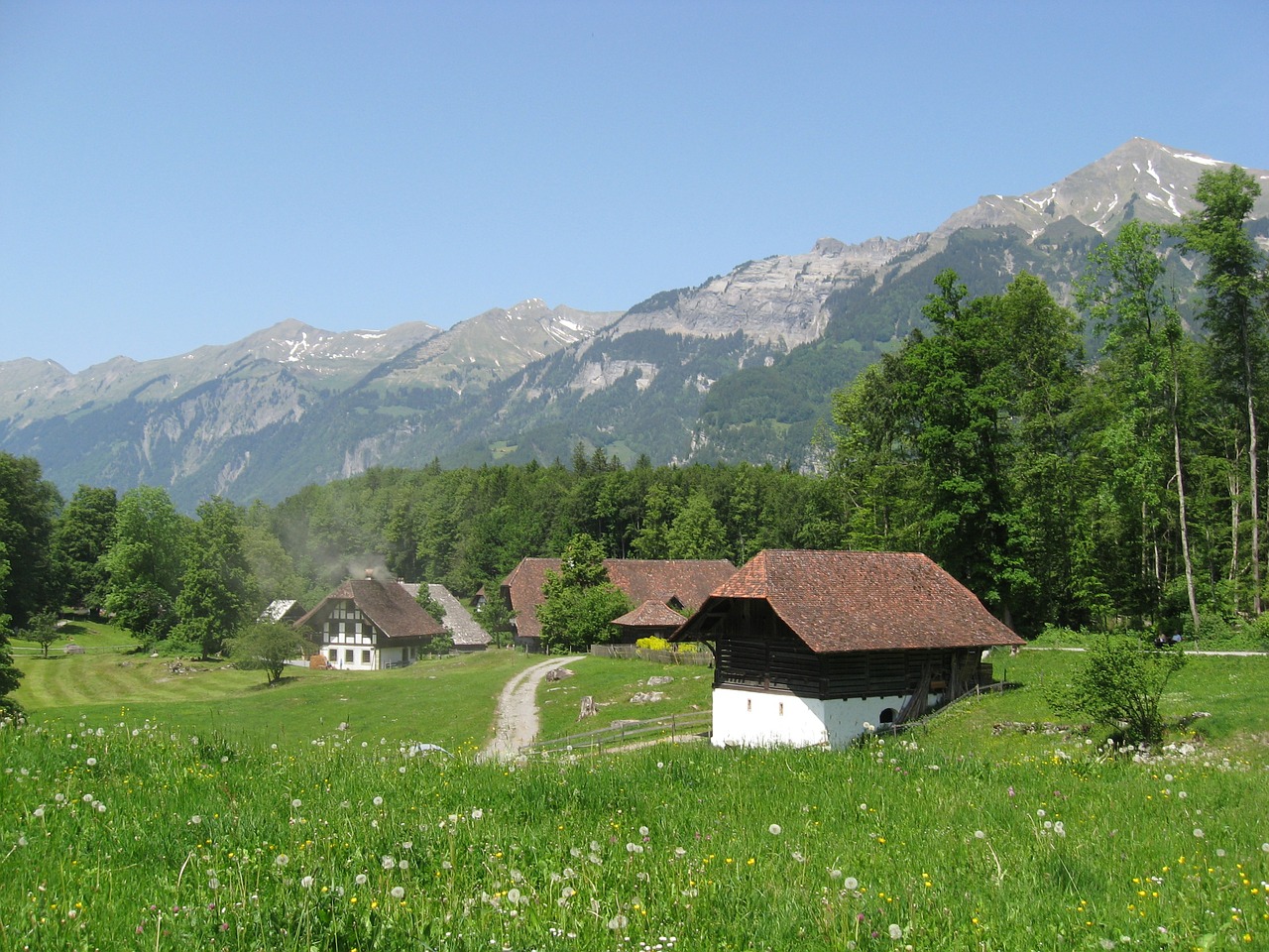 Seefeld, Šveicarija, Kaimas, Pieva, Kalnai, Allgäu, Saulė, Panorama, Perspektyva, Žemdirbystė