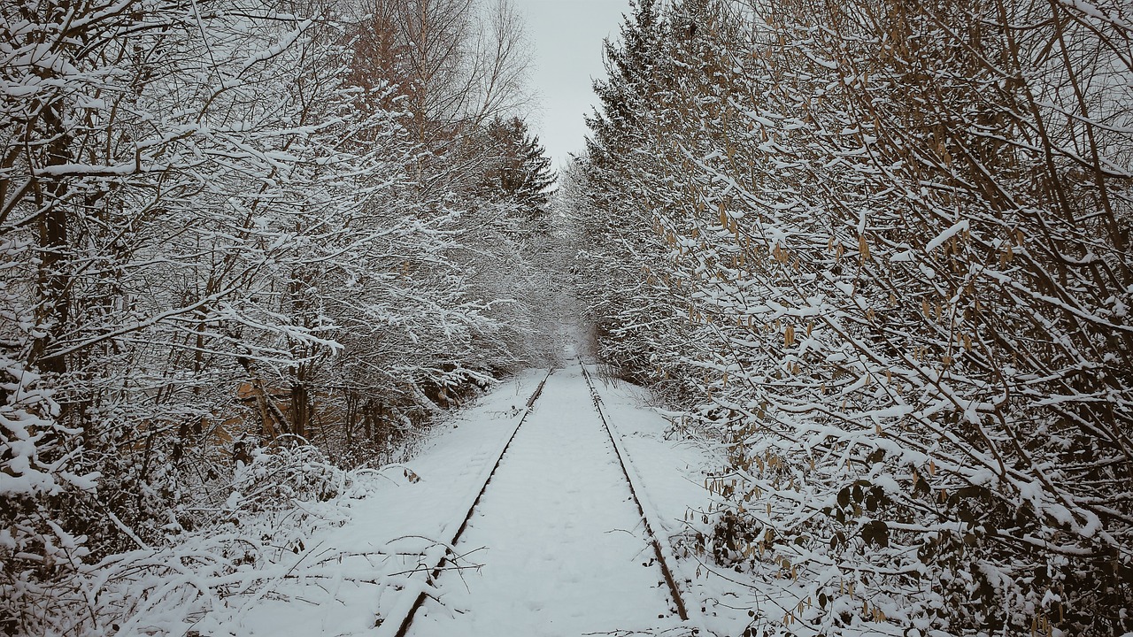 Atrodė, Žiema, Geležinkelis, Sniegas, Traukinys, Trasa, Šaltas, Geležinkelio Bėgiai, Kraštovaizdis, Geležinkelio Keliai