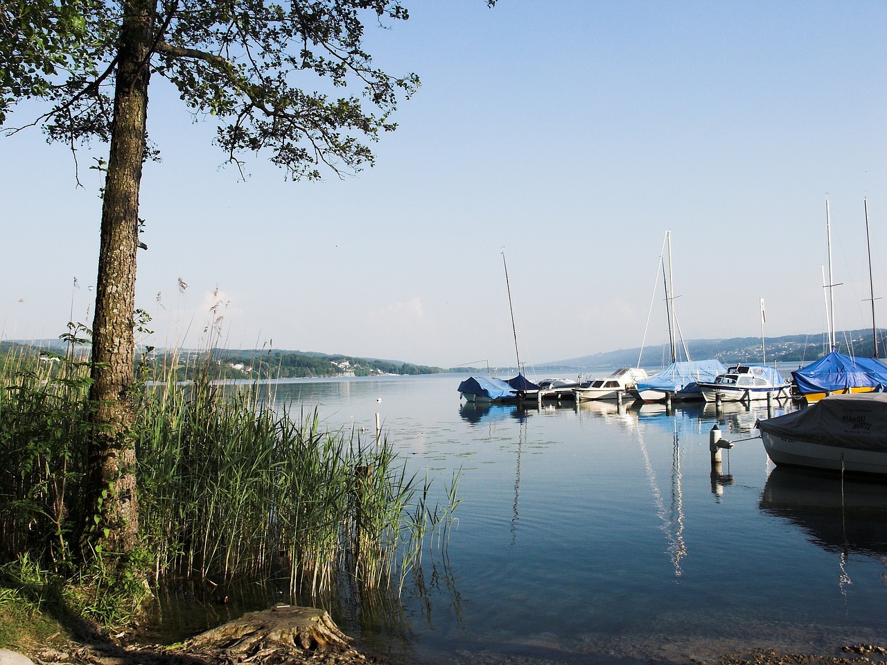 Seengen,  Halwiler Ežeras,  Vandenys,  Pobūdį,  Kelionė,  Jūra,  Dangus, Nemokamos Nuotraukos,  Nemokama Licenzija