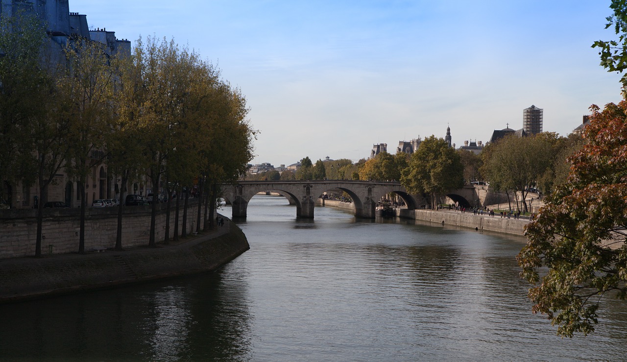 Seine, Tiltas, Paris, Nemokamos Nuotraukos,  Nemokama Licenzija