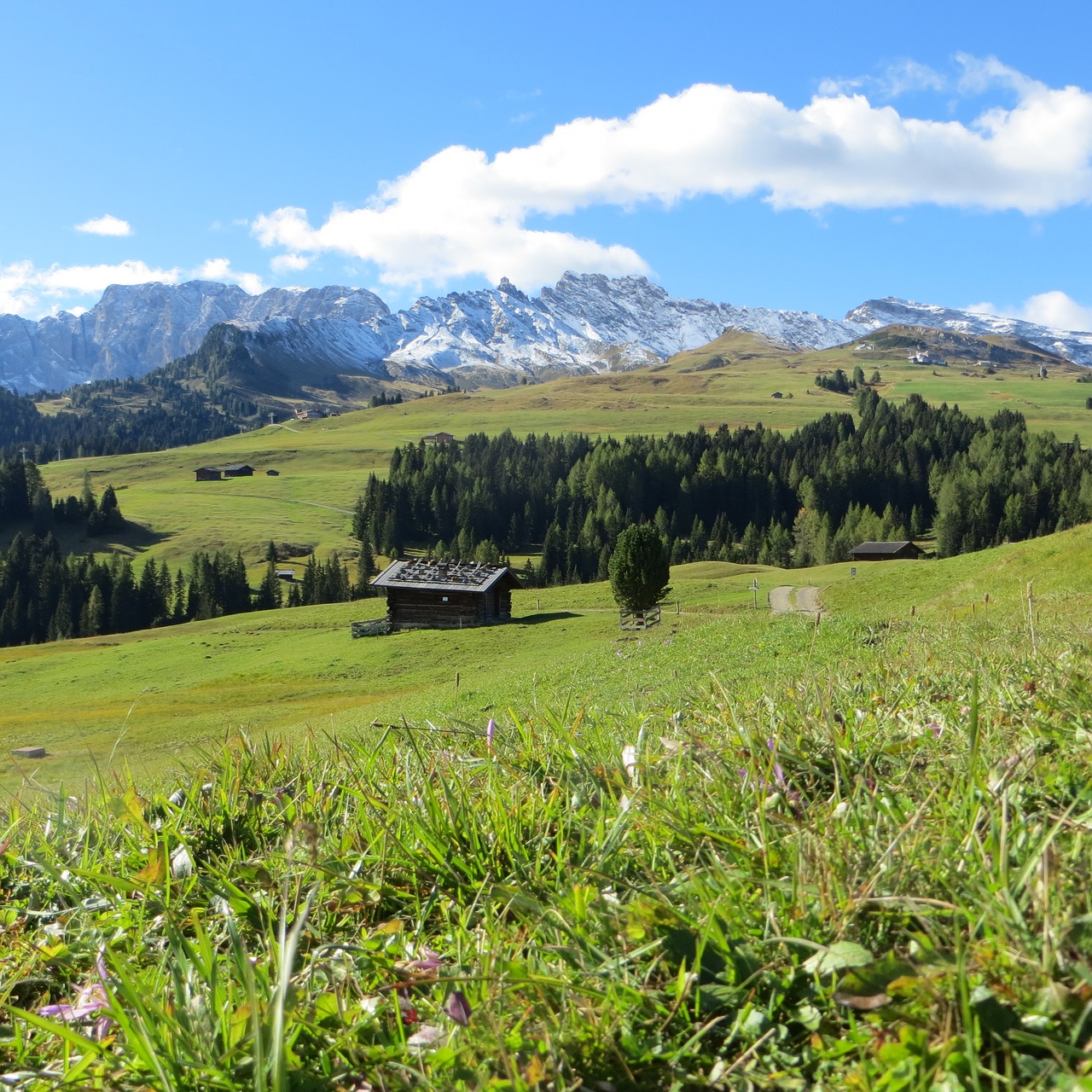 Stover Alm, South Tyrol, Dolomitai, Nemokamos Nuotraukos,  Nemokama Licenzija