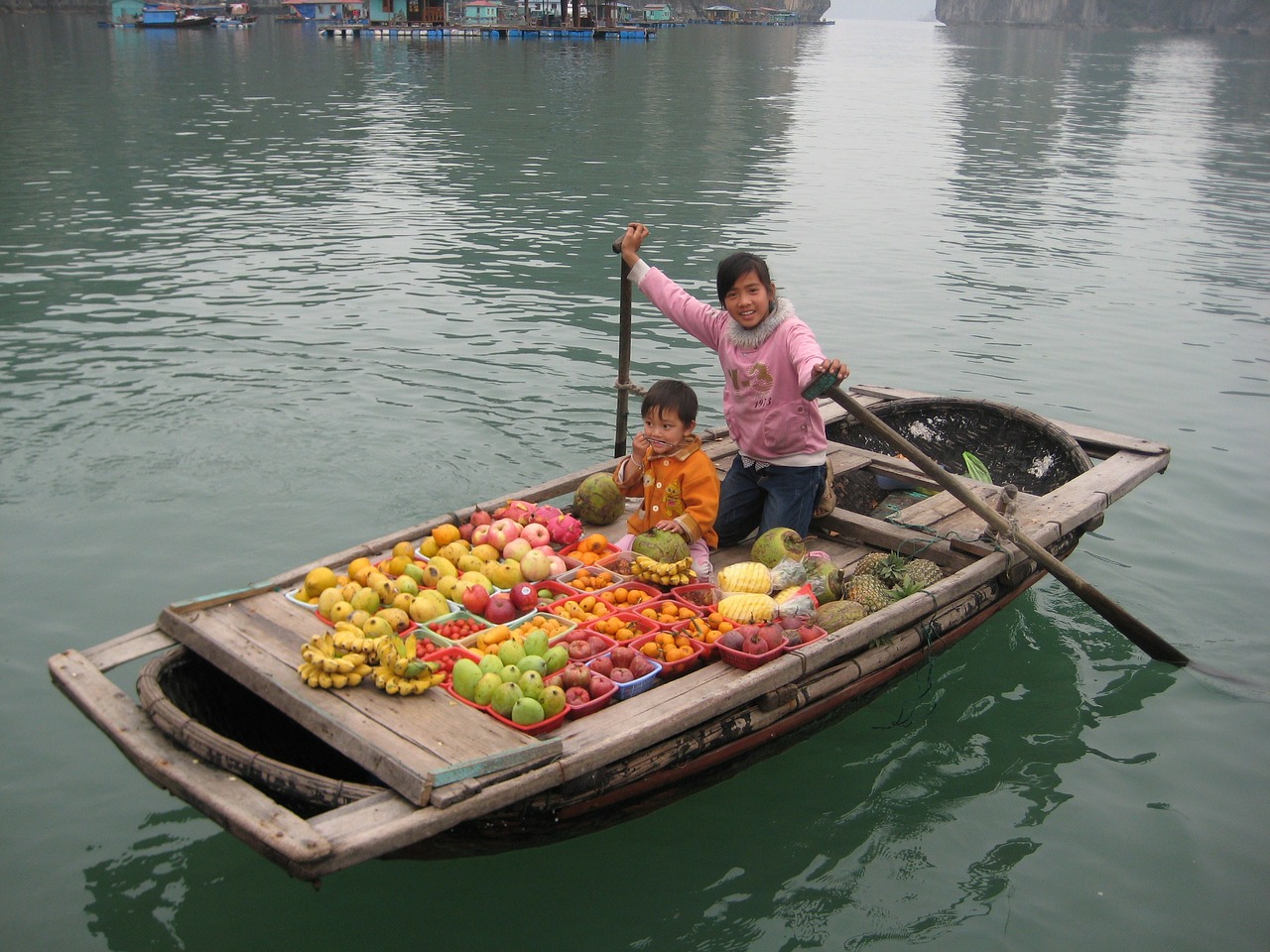Parduoti Vaisius, Žvejų Kaimelis, Valtis, Halongo Įlanka, Vietnamas, Vanduo, Laivai, Valtys, Lauke, Nemokamos Nuotraukos