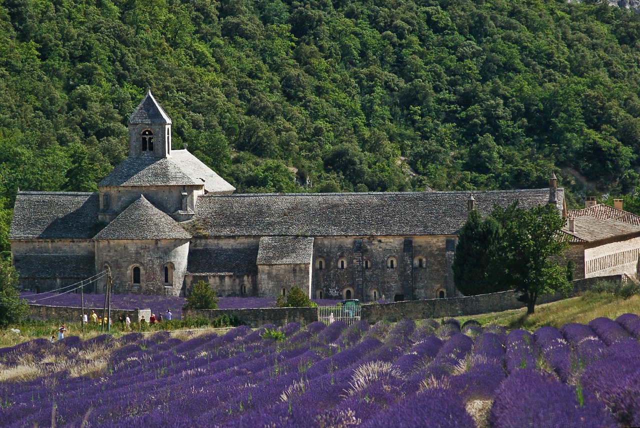 Sénanque, Notre Dame De Sénanque, Vienuolynas, Levandų Žiedas, Levanda, Mėlynas, Cistercianų Tvarka, Gordes, Vaucluse Departamentas, France