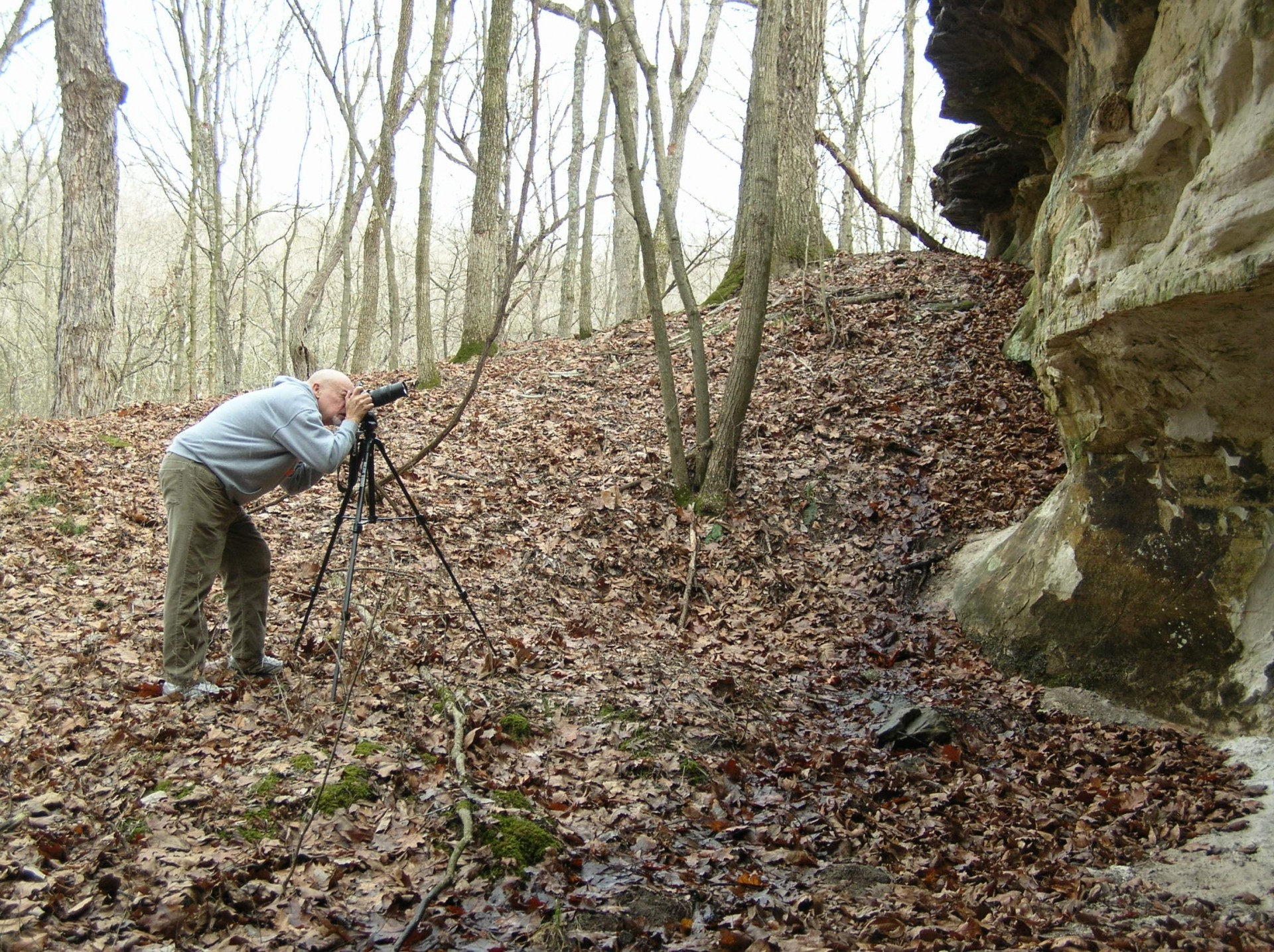 Vyresnieji & Nbsp,  Vyrai,  Fotografas,  Hobis,  Miškai,  Fotoaparatas,  Gamta,  Patinas,  Menininkas,  Nusiskuto & Nbsp