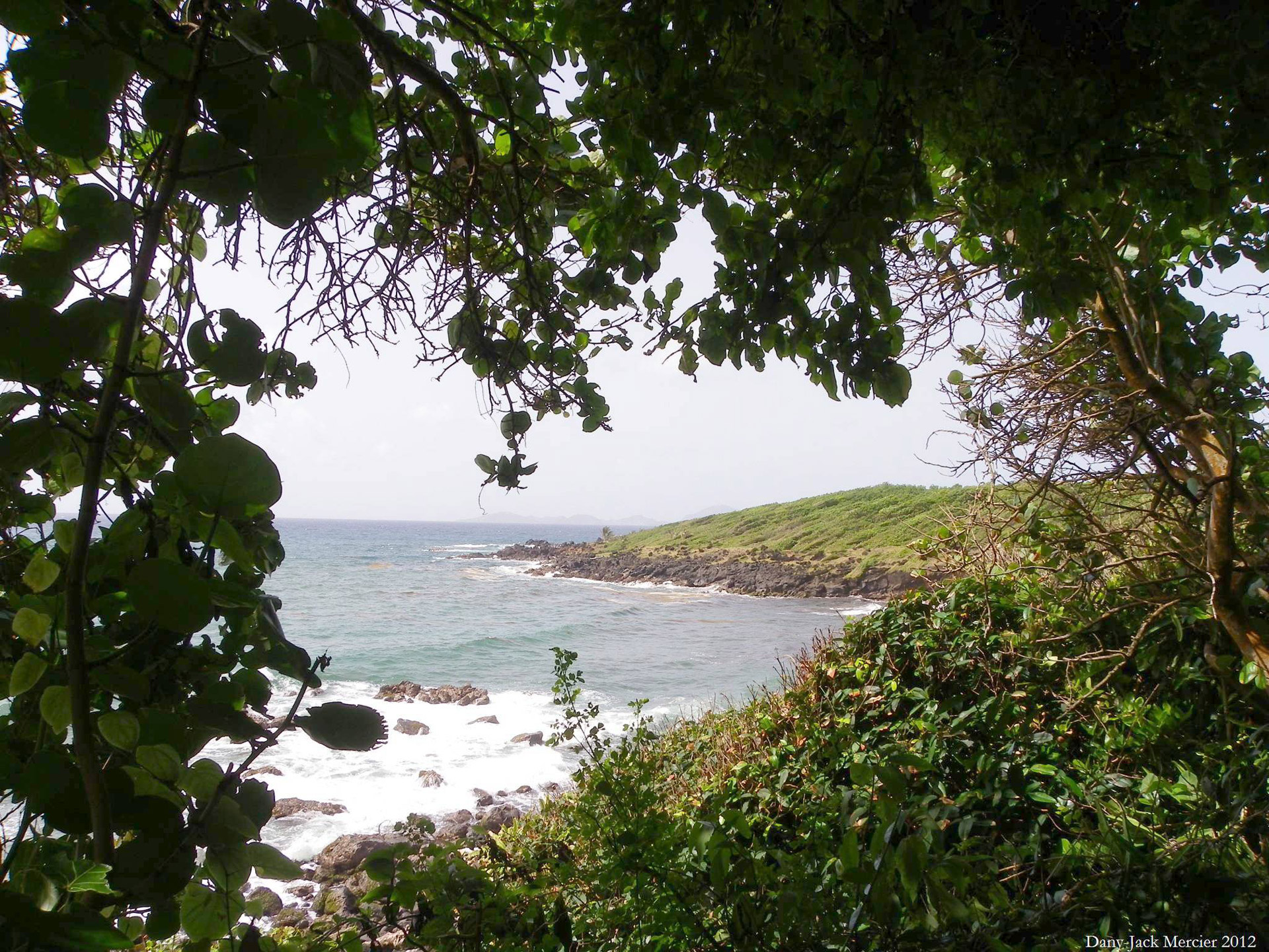 Gamta,  Jūra,  Grožis,  Karibai,  Trys Upės Traukia 10, Nemokamos Nuotraukos,  Nemokama Licenzija