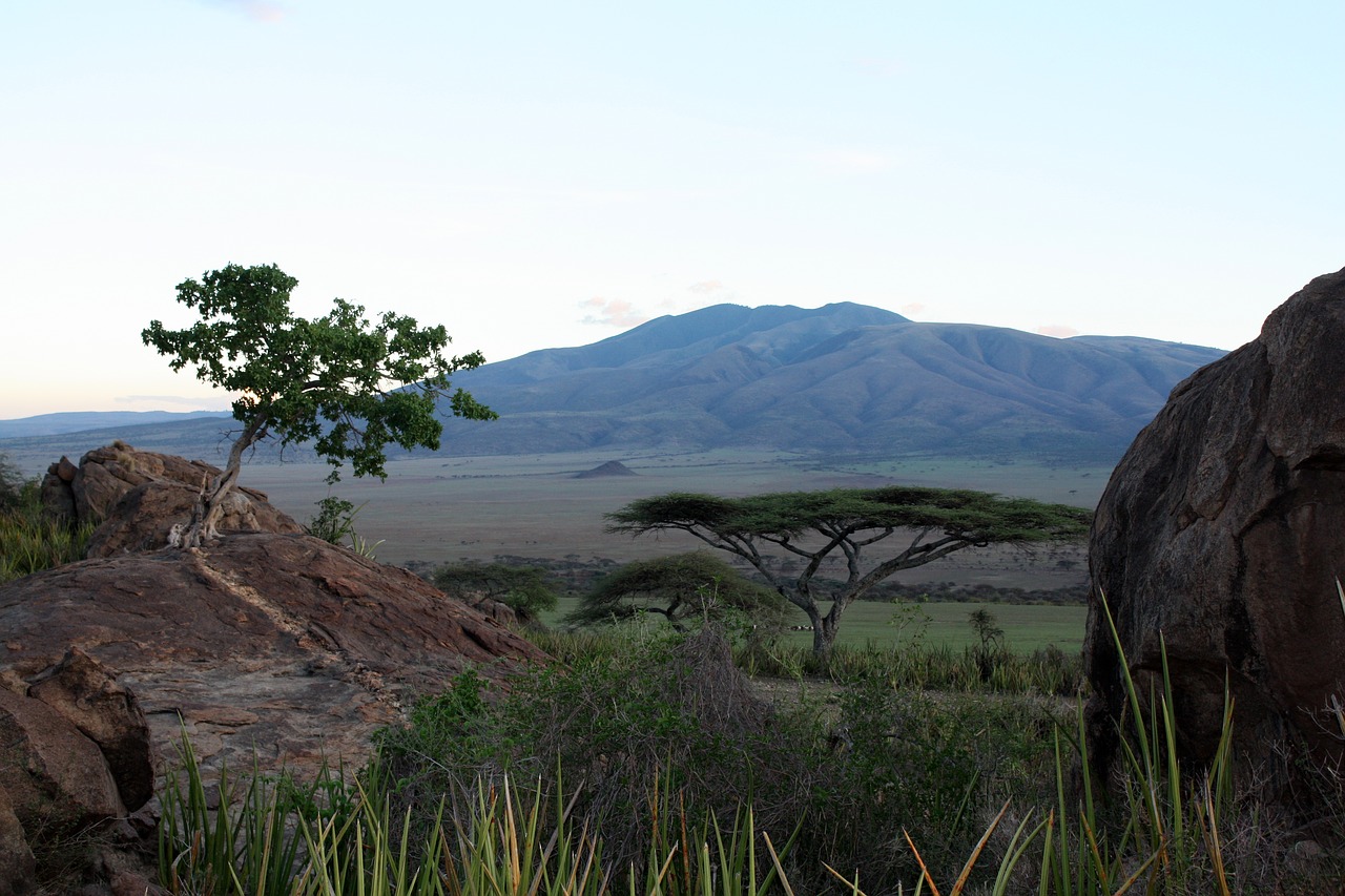 Serengeti, Tanzanija, Afrika, Kraštovaizdis, Eevning, Twilight, Nemokamos Nuotraukos,  Nemokama Licenzija