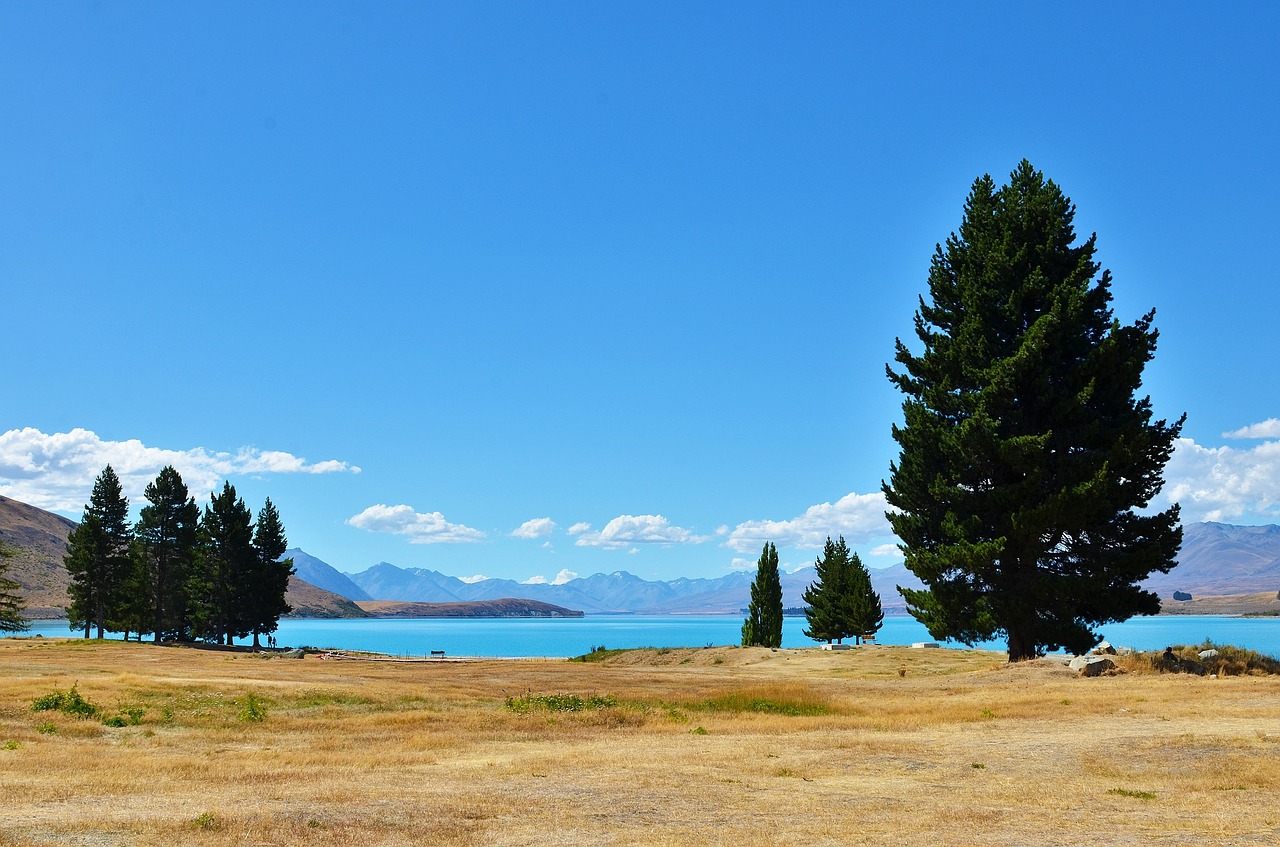 Ramybė, Lakefront, Medis, Naujoji Zelandija, Nemokamos Nuotraukos,  Nemokama Licenzija