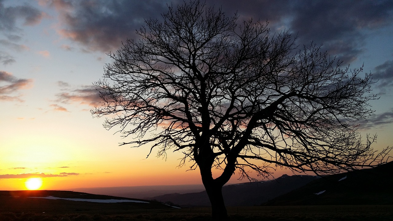 Ramybė, Saulėlydis, Auvergne, Saulėlydis, Nemokamos Nuotraukos,  Nemokama Licenzija