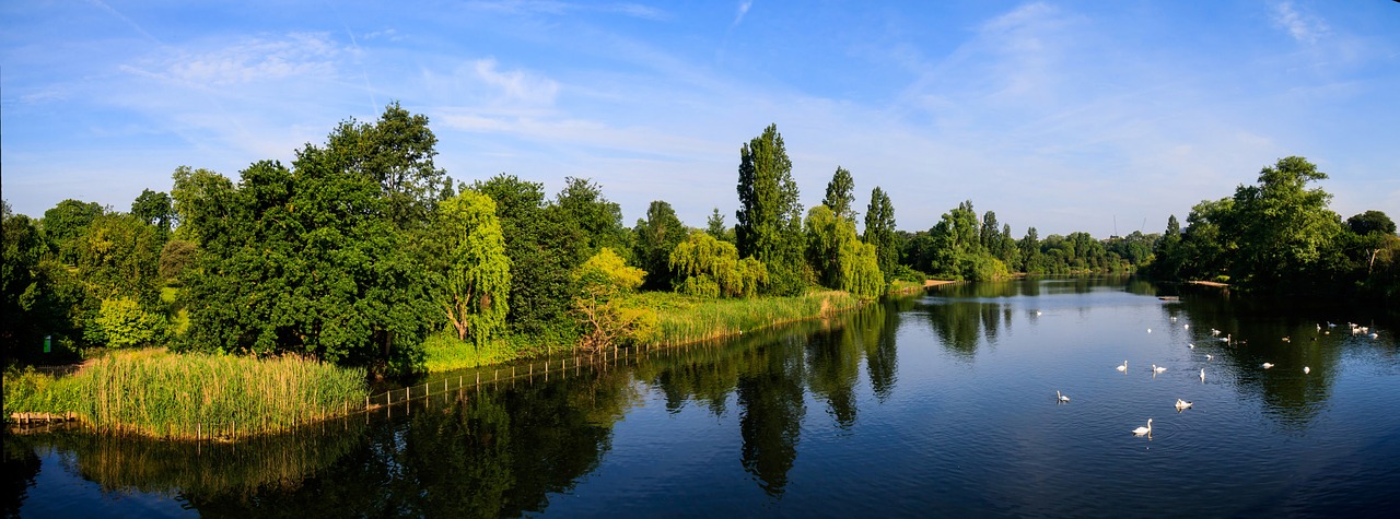 Serpentine Hyde Parkas, Mėlynas Dangus, Vanduo, Gulbės, Nemokamos Nuotraukos,  Nemokama Licenzija