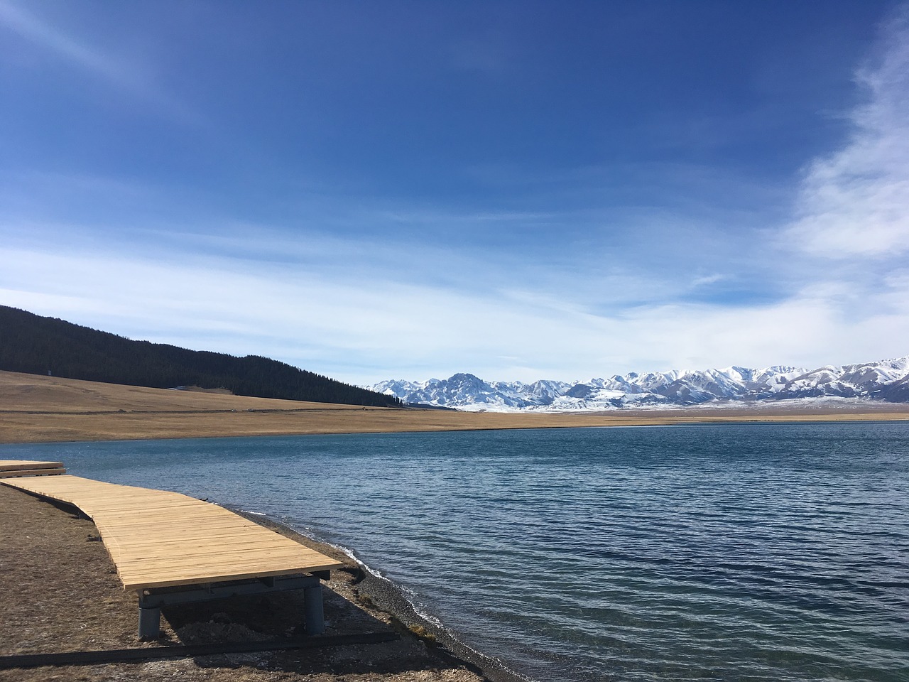 Nuosavas Medis Ežeras, Xinjiang, Yili, Nemokamos Nuotraukos,  Nemokama Licenzija