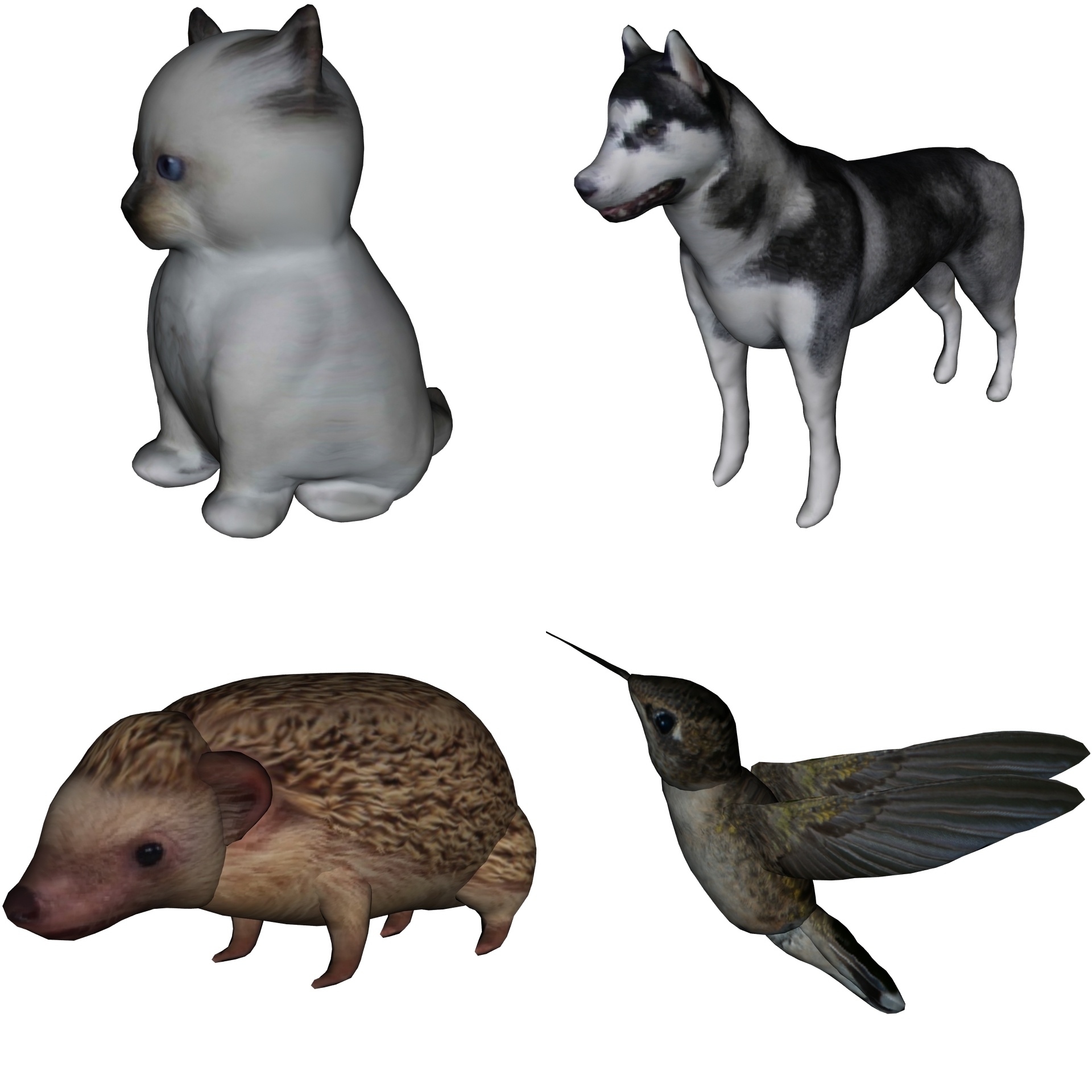 Kačiukas,  Husky,  Ežiukas,  Kolibris,  Paukščiai,  Gyvūnai,  Laukiniai,  Nustatyti,  3D,  Spalva