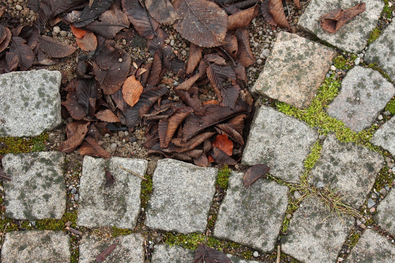 Setts,  Akmuo,  Gatvė,  Ruduo,  Parkas,  Lapai,  Ženklas,  Rudens Lapai,  Miestas, Nemokamos Nuotraukos