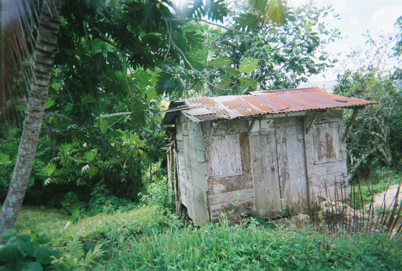 Jamaika,  Mary,  Galina,  Vėjas,  2006,  Džiunglės,  Nuotraukos,  Sodrus,  Žalias,  Shack 2