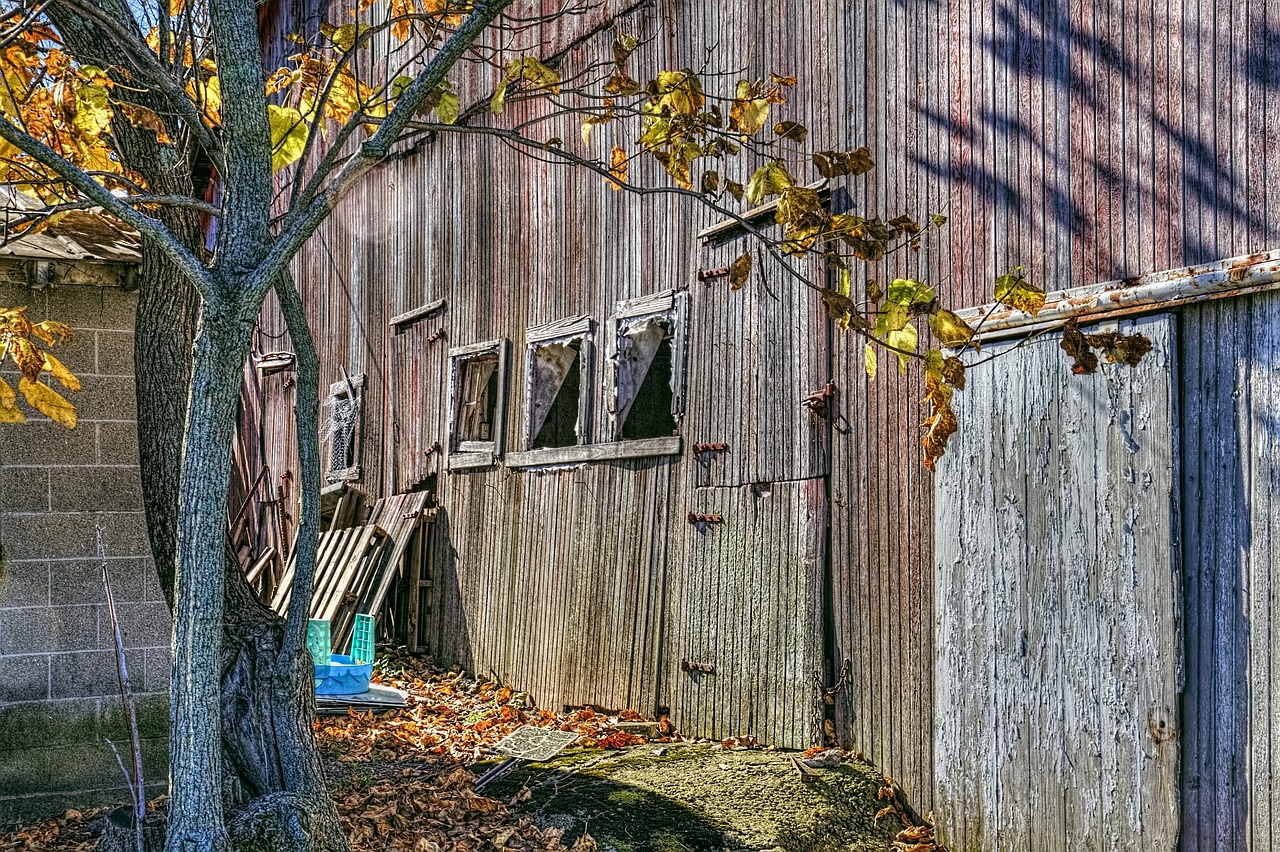 Shed, Kateriai, Barniai, Kaimiškas, Menas, Skaitmeninis Menas, Meno, Ohio, Kaimas, Šalis