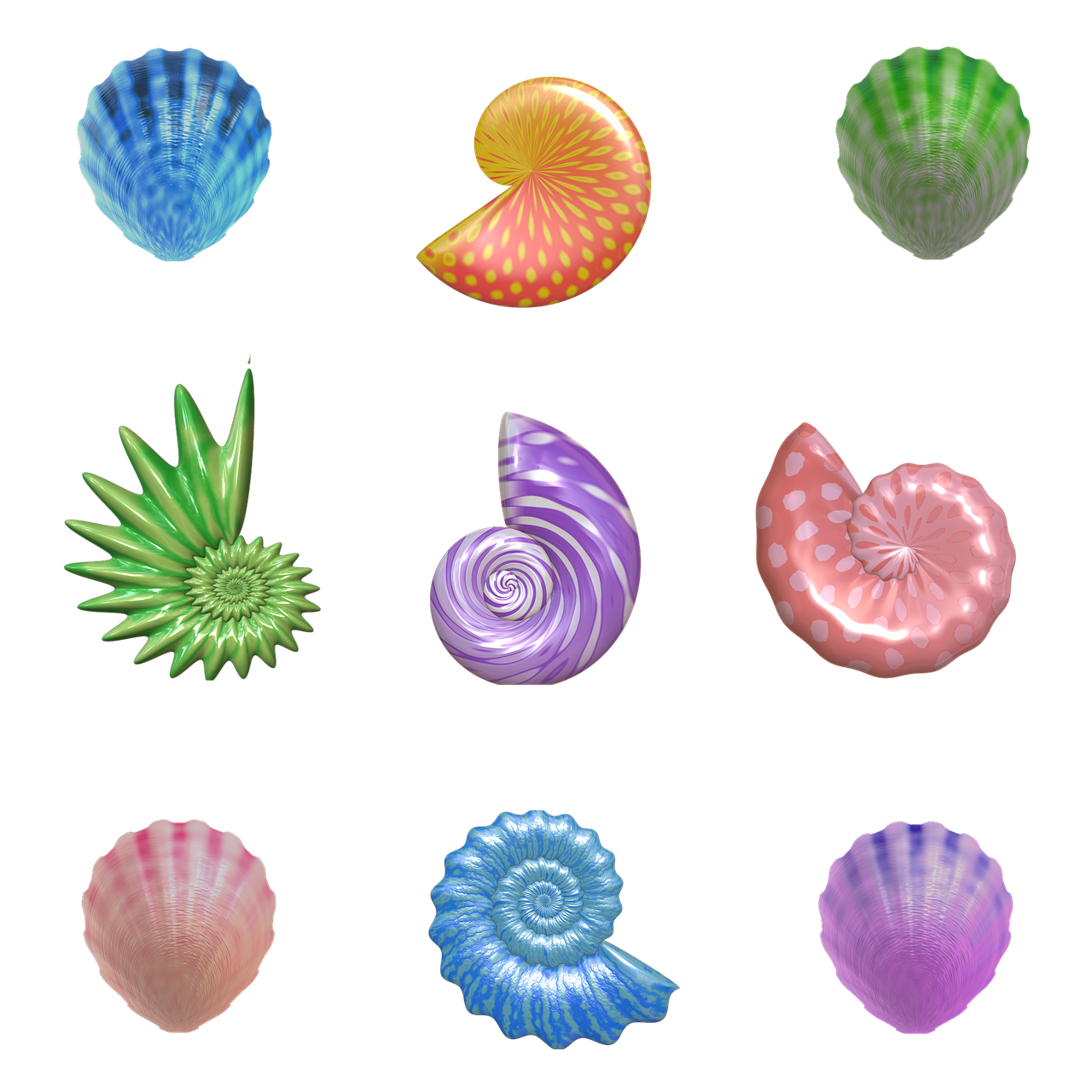 Lukštas, Jūros Gėrybės, Nautilus, Clam, Šparagai, Mollusk, Sraigė, Jūrų, Bestuburiai, Jūra