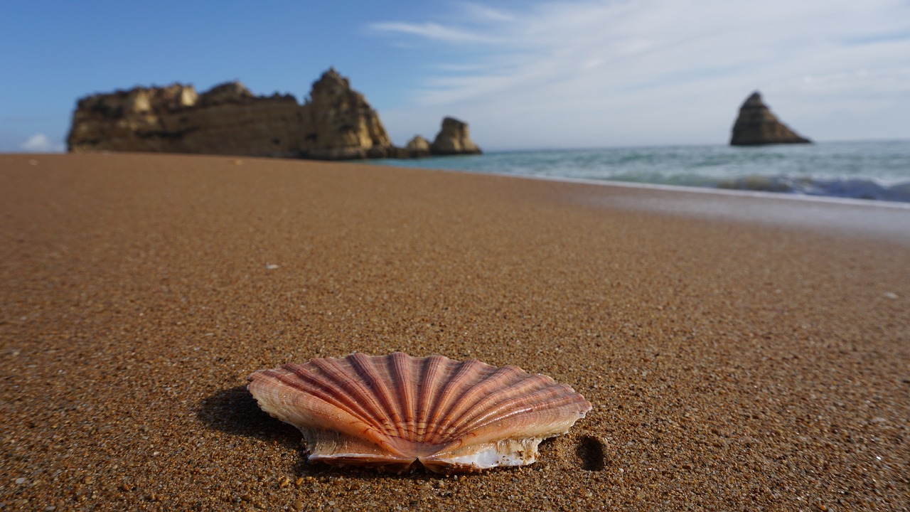 Apvalkalas,  Papludimys,  Faro,  Algarve,  Lagos, Nemokamos Nuotraukos,  Nemokama Licenzija