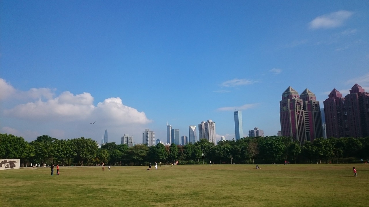 Shenzhen, Veja, Mėlynas Dangus, Nemokamos Nuotraukos,  Nemokama Licenzija