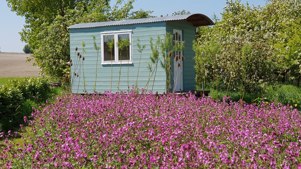 Piemenys Namelis,  Pobūdį,  Vasara,  Gėlė,  Floros,  Raudona Campion, Nemokamos Nuotraukos,  Nemokama Licenzija