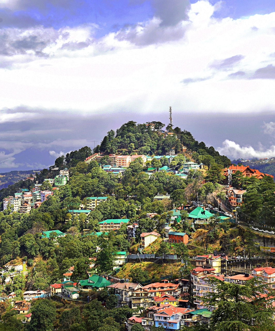 Shimla,  Kalvos,  Azijoje,  Kelionė,  Himachal,  Pobūdį,  Turizmas,  Dangus,  Kraštovaizdis,  Medis