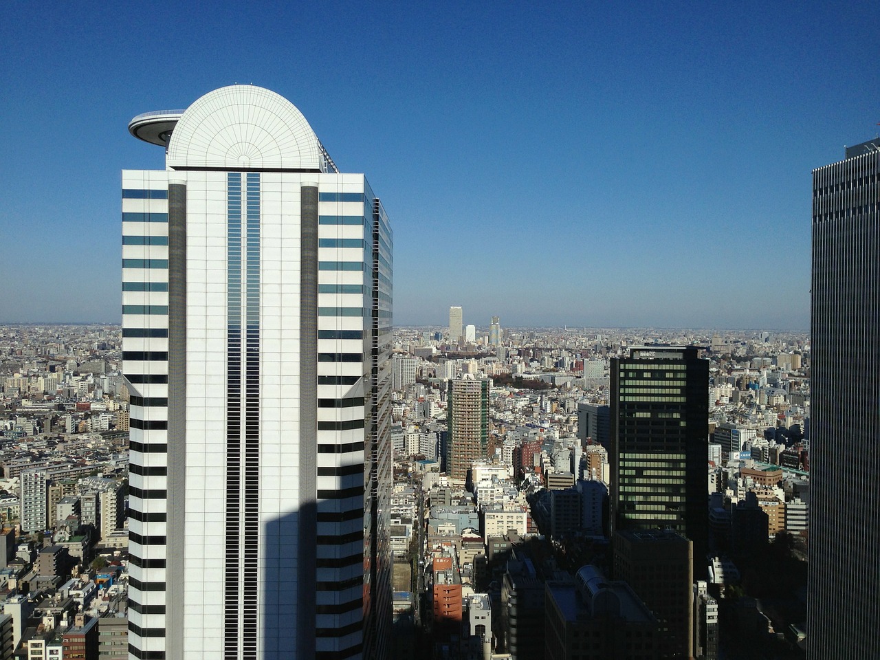 Shinjuku Ku, Pastatas, Pastatai Dangoraižiai Miesto, Nemokamos Nuotraukos,  Nemokama Licenzija