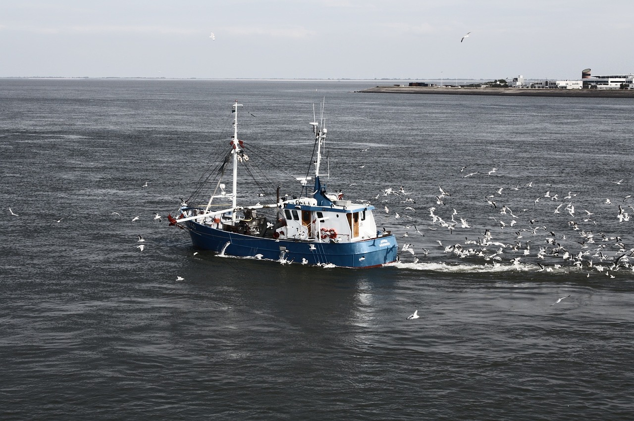 Laivas, Jūra, Šiaurės Jūra, Texel, Žvejybos Laivas, Kajakas, Ežeras, Jūrų Transportas, Uostas, Vanduo