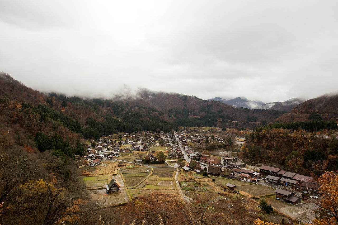 Shirakawago, Kaimas, Japonija, Miestas, Žemdirbystė, Namai, Kraštovaizdis, Debesuota, Kalnai, Nemokamos Nuotraukos