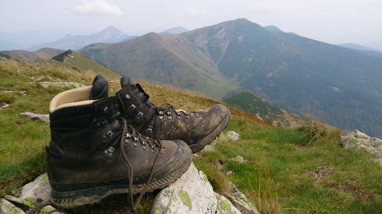 Avalynė, Kalnai, Turizmas, Slovakija, Fatra, Gamta, Rokas, Peržiūros, Žygis, Šalis