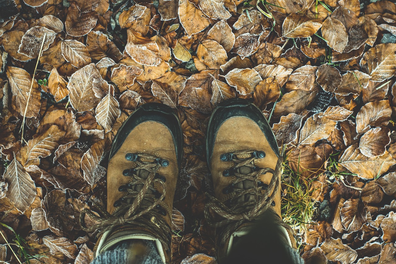 Avalynė, Pėsčiųjų Batai, Žygiai, Alpinizmo Batai, Žygis, Lauke, Shoelaces, Gamta, Odiniai Batai, Dėvėti