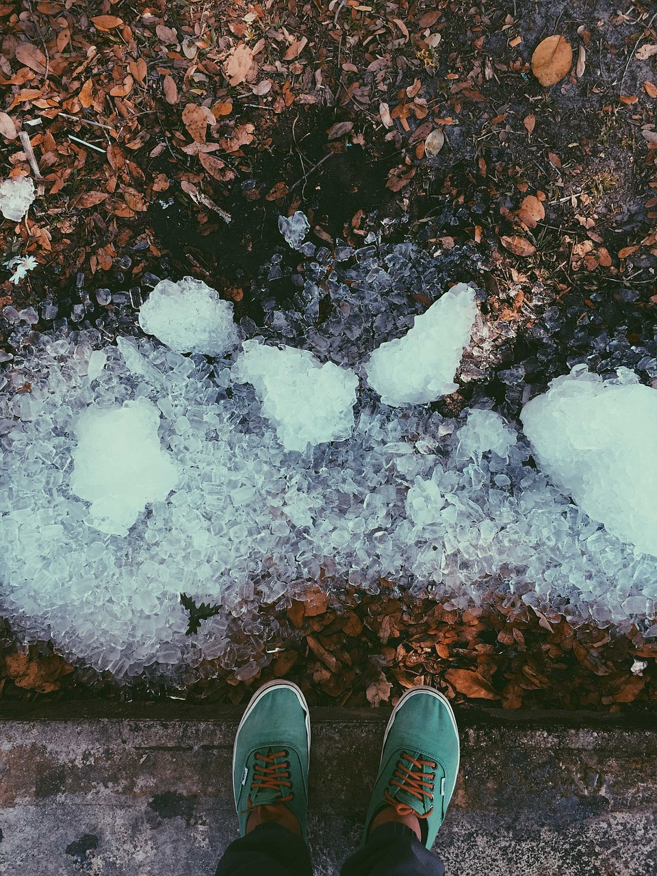 Avalynė, Sportiniai Bateliai, Žemė, Ledas, Sniegas, Žiema, Šaltas, Lapai, Gamta, Nemokamos Nuotraukos