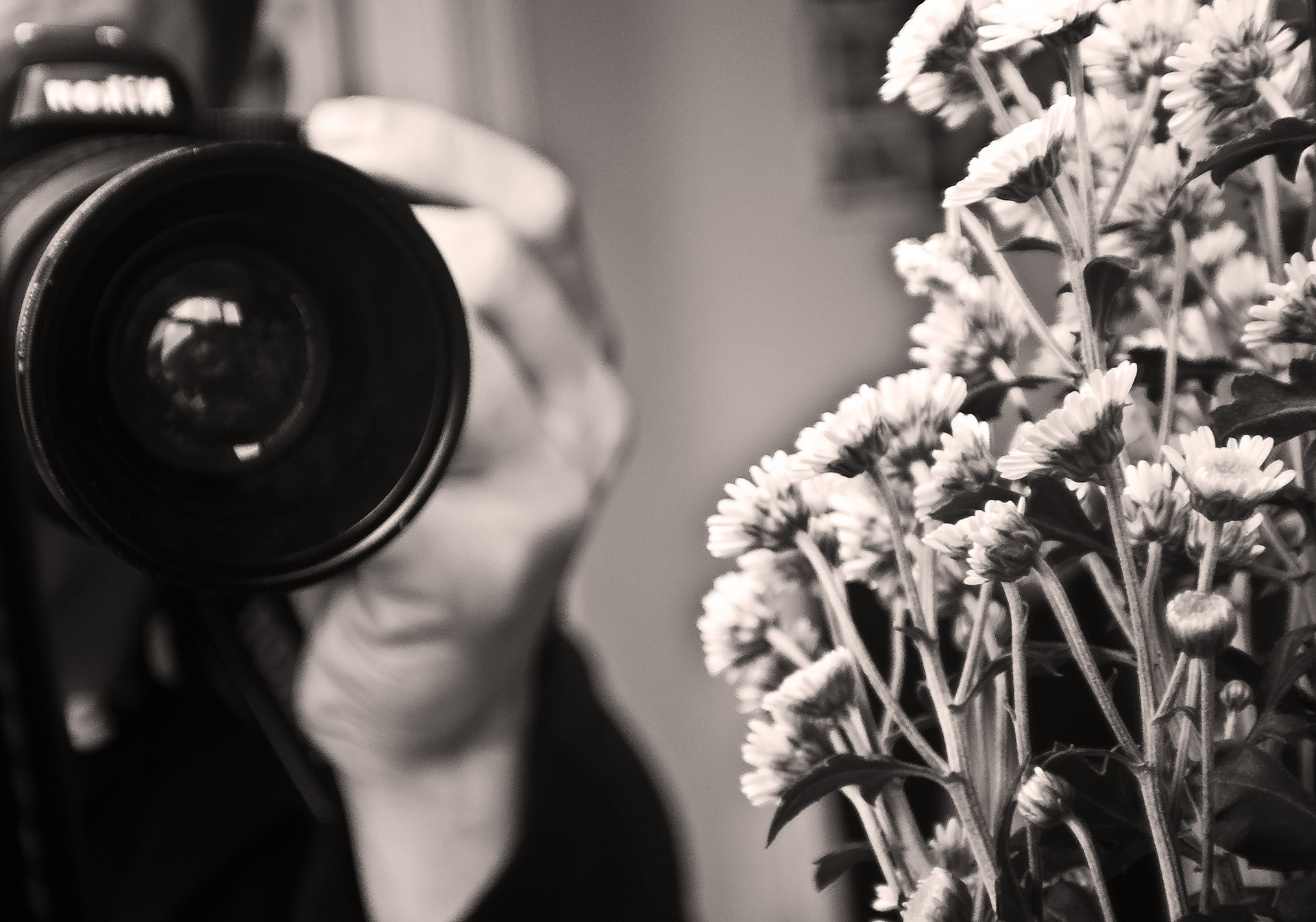 Šaudymas,  Gėlės,  Gėlė,  Fotoaparatas,  Objektyvas,  Darbas,  Hobis,  Juoda,  Balta,  Fotografija