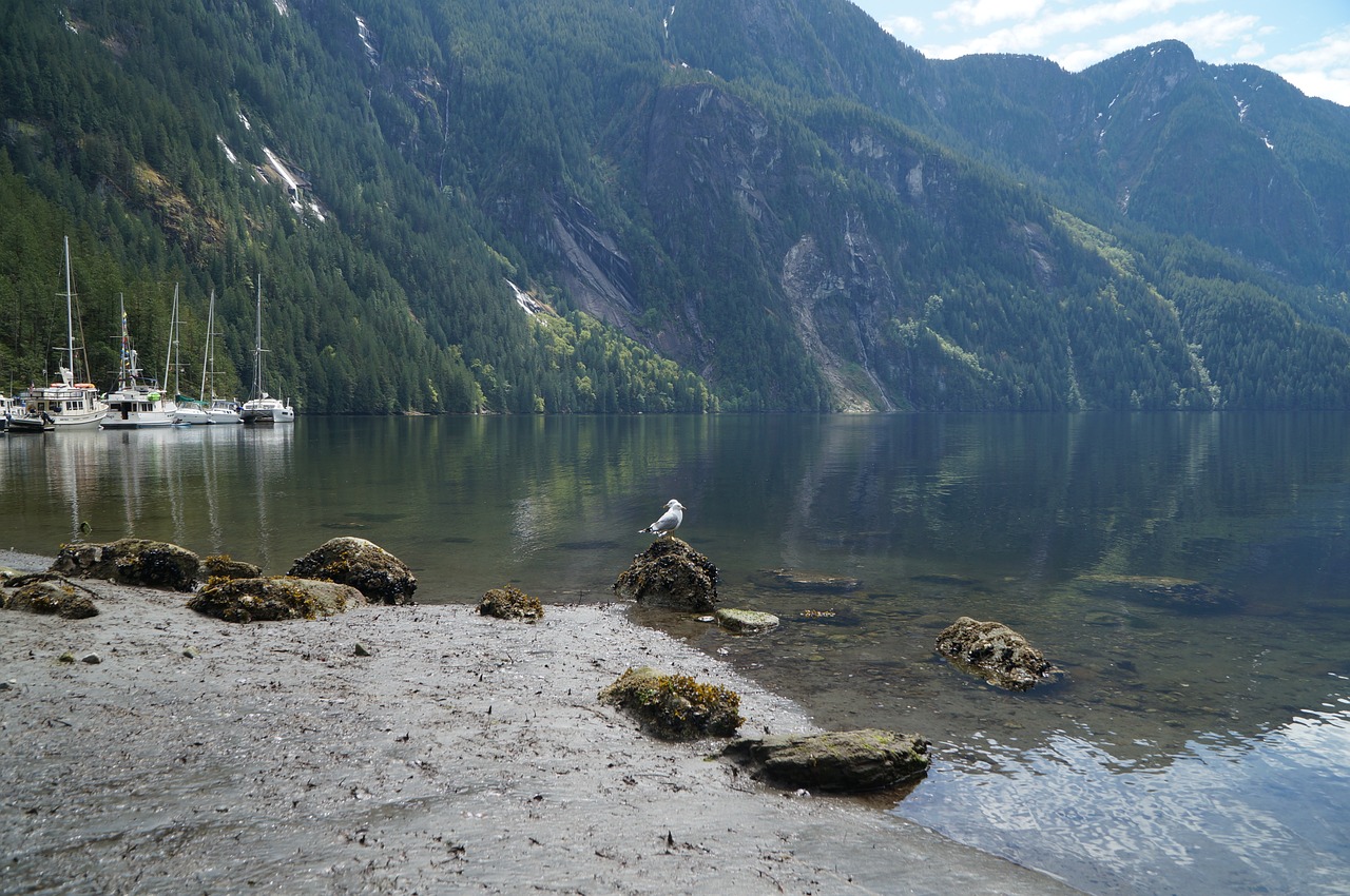 Krantas,  Vandenynas,  Fjord,  Britų Kolumbija,  Jūra,  Kelionė,  Pobūdį,  Pakrantės,  Vaizdingas,  Vandens