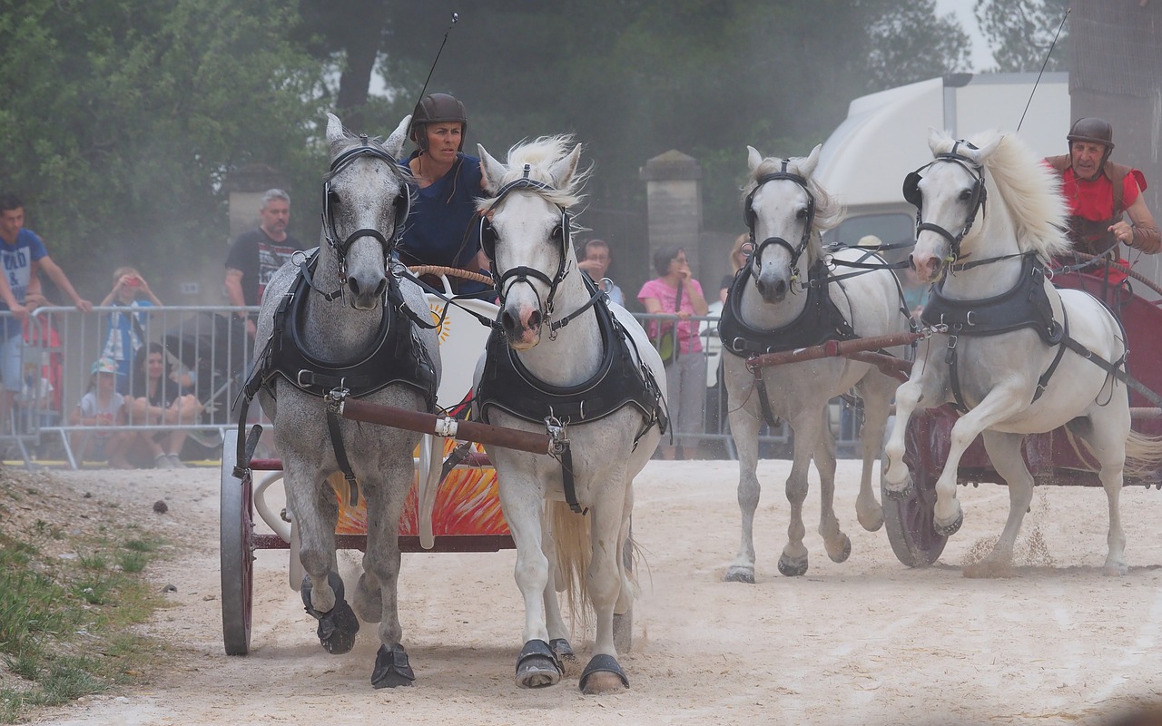 Rodyti,  Festivalis,  Viduramžių,  Lenktynės, Nemokamos Nuotraukos,  Nemokama Licenzija