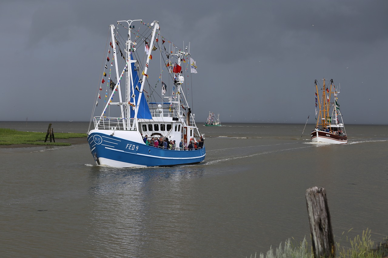 Krevetės, Uosto Federanderserelis, Valčių Regata, Federanderserelis, Žvejybos Laivas, Butjadingen, Šiaurės Jūros Pakrantė, Nacionalinis Parkas, Wadden Jūra, Uosto Įėjimas