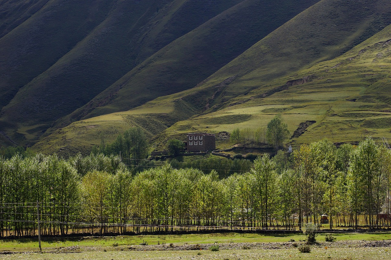 Sichuanas, Xinduqiao, Kraštovaizdis, Nemokamos Nuotraukos,  Nemokama Licenzija