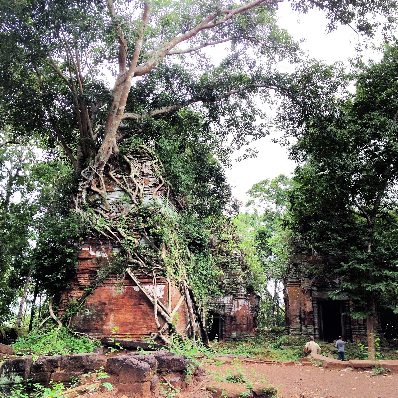 Siem Grižti, Angkor Tomas, Šventykla, Kambodža, Nemokamos Nuotraukos,  Nemokama Licenzija